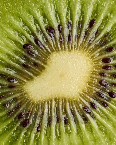 diseño sin título (12)