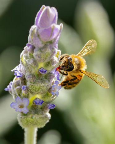 diseño sin título (15)