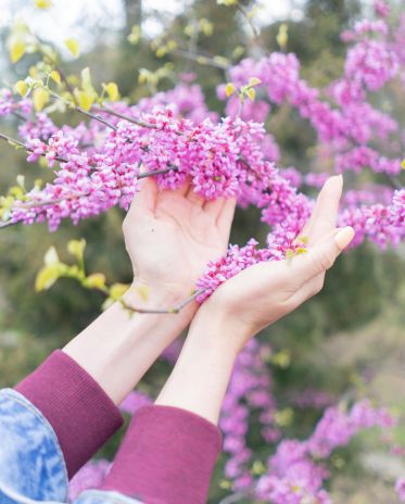 diseño sin título (23)