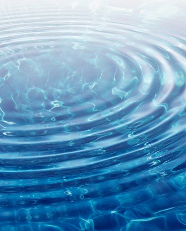 diseño sin título (26)