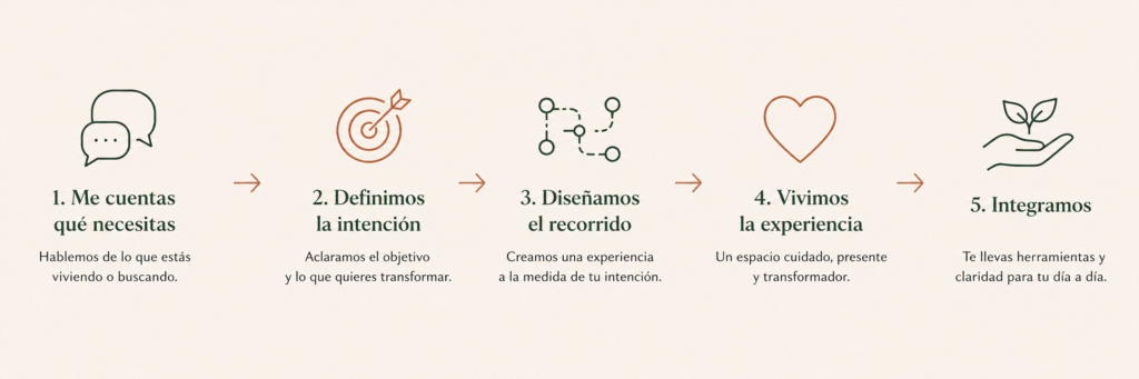 como funciona experiencias yorganica.webp como funciona experiencias yorganica.webp